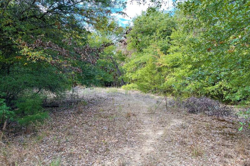 Rachel Anderson 72 Fairfield1/1 Cabin on approx. 4.98 acres in Wildwood, road frontage on 3