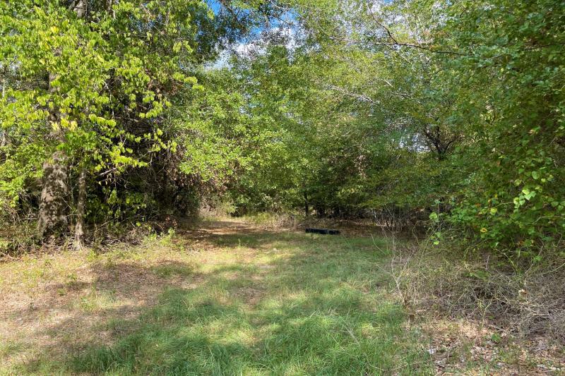 Rachel Anderson 72 Fairfield1/1 Cabin on approx. 4.98 acres in Wildwood, road frontage on 3