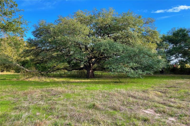 Rachel Anderson - #7 Teague-+/-2.77 Acres, Beautiful Location, Secluded ...